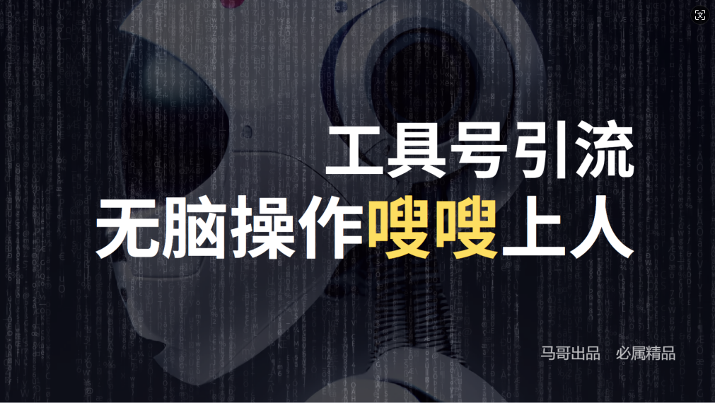 （12747期）24年抖音最新工具号日引流300+创业粉，日入5000+-智创网