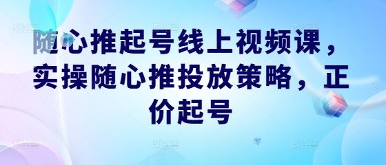 随心推起号线上视频课，实操随心推投放策略，正价起号-智创网