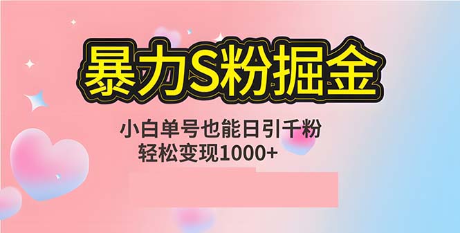 （12778期）单人单机日引千粉，变现1000+，S粉流量掘金计划攻略-智创网
