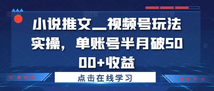 小说推文—视频号玩法实操，单账号半月破5000+收益-智创网