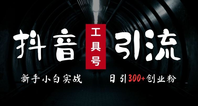 2024最新抖音工具号引流玩法，高效日引300+创业粉，当天变现5k，小白也可成为实战高手-智创网