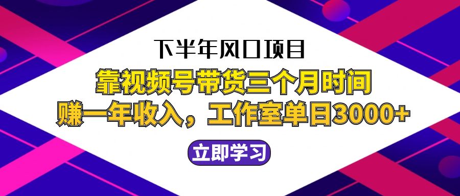 （12849期）下半年风口项目，靠视频号带货三个月时间赚一年收入，工作室实测单日3…-智创网