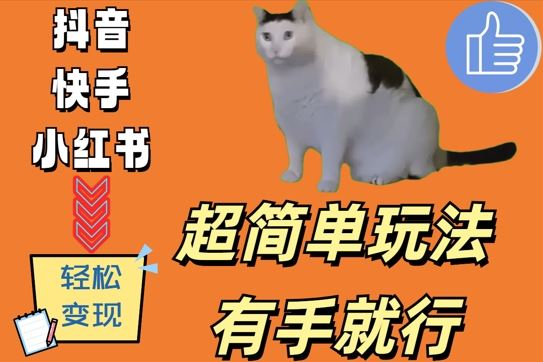超简单玩法，有手就行，靠猫咪视频日入500+【揭秘】-智创网