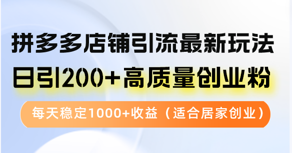 （12893期）拼多多店铺引流最新玩法，日引200+高质量创业粉，每天稳定1000+收益（…-智创网