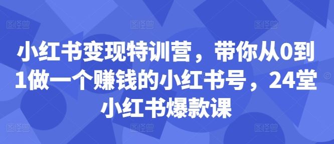 小红书变现特训营，带你从0到1做一个赚钱的小红书号，24堂小红书爆款课-智创网