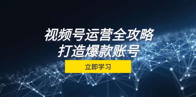 视频号运营全攻略，从定位到成交一站式学习，视频号核心秘诀，打造爆款账号-智创网