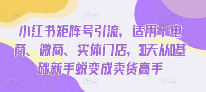 小红书矩阵号引流，适用于电商、微商、实体门店，30天从0基础新手蜕变成卖货高手-智创网