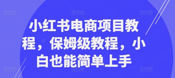 小红书电商项目教程，保姆级教程，小白也能简单上手-智创网