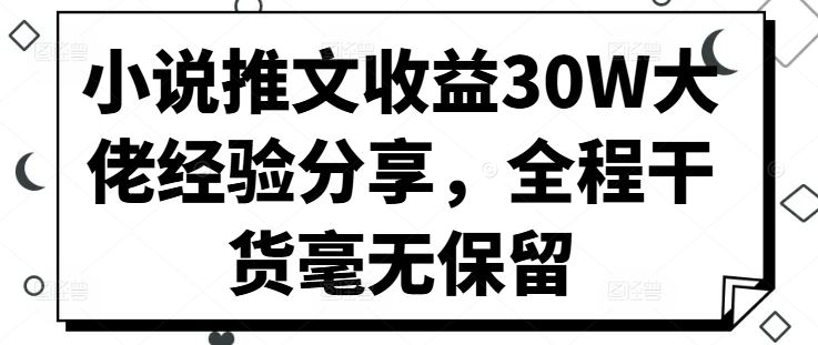 小说推文收益30W大佬经验分享，全程干货毫无保留-智创网