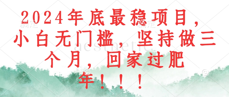 （12970期）2024年底最稳项目，小白无门槛，坚持做三个月，回家过肥年！！！-智创网