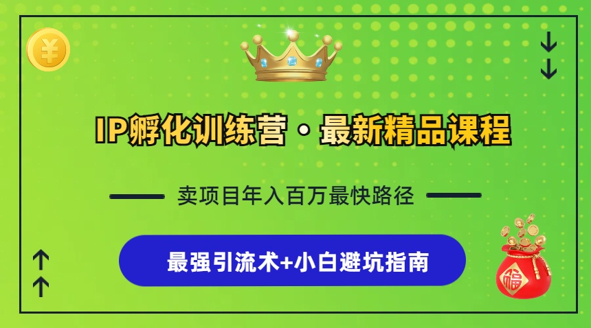 （13055期）IP孵化训练营，知识付费全流程+最强引流术+小白避坑指南-智创网
