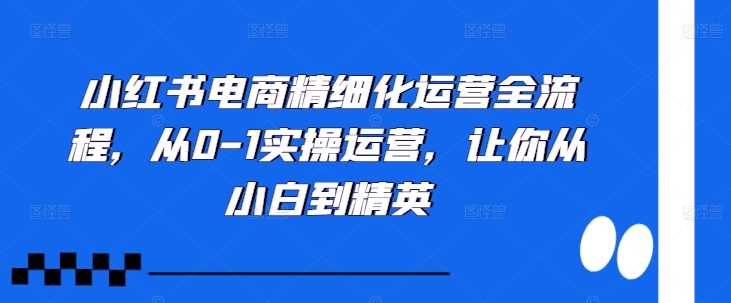 小红书电商精细化运营全流程，从0-1实操运营，让你从小白到精英-智创网