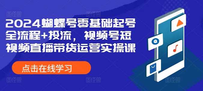 2024蝴蝶号零基础起号全流程+投流，视频号短视频直播带货运营实操课-智创网