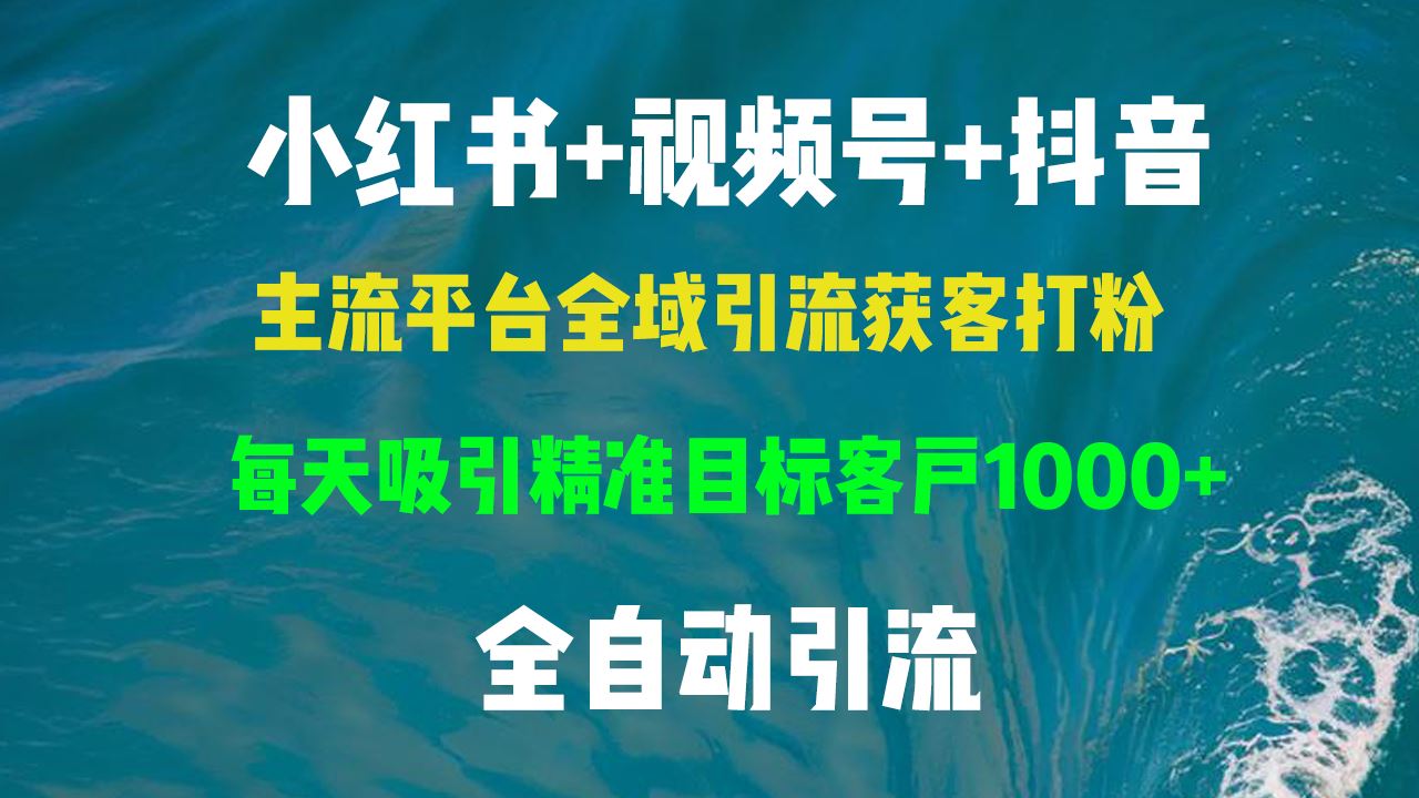 （13104期）小红书，视频号，抖音主流平台全域引流获客打粉，每天吸引精准目标客户…-智创网