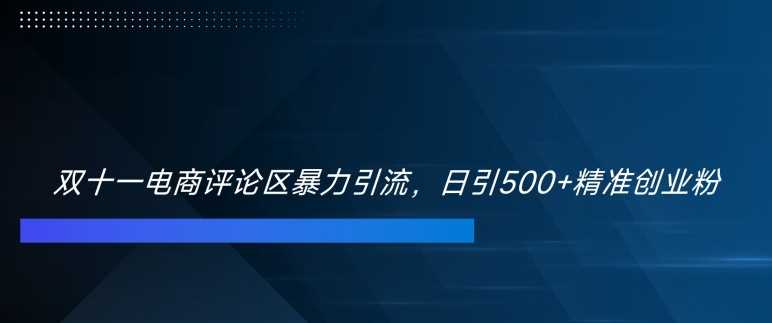 双十一电商评论区暴力引流，日引500+精准创业粉【揭秘】-智创网