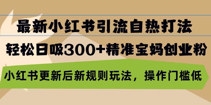 （13145期）最新小红书引流自热打法，轻松日吸300+精准宝妈创业粉，小红书更新后新…-智创网