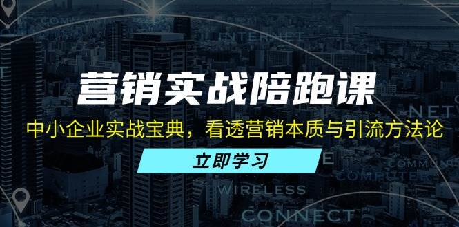 （13146期）营销实战陪跑课：中小企业实战宝典，看透营销本质与引流方法论-智创网