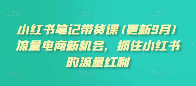 小红书笔记带货课(更新10月)流量电商新机会，抓住小红书的流量红利-智创网