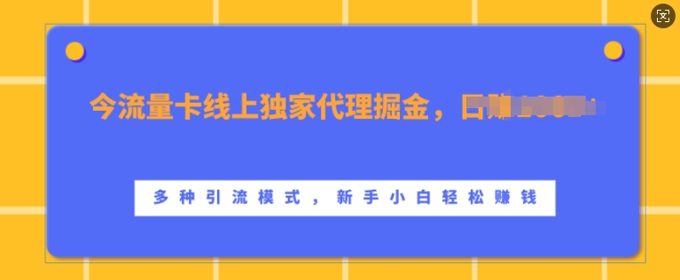 流量卡线上独家代理掘金，日入1k+ ，多种引流模式，新手小白轻松上手【揭秘】-智创网