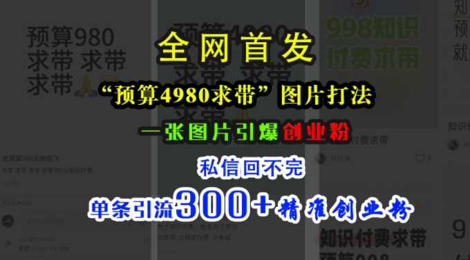 小红书“预算4980带我飞”图片打法，一张图片引爆创业粉，私信回不完，单条引流300+精准创业粉-智创网