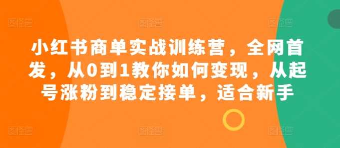 小红书商单实战训练营，全网首发，从0到1教你如何变现，从起号涨粉到稳定接单，适合新手-智创网