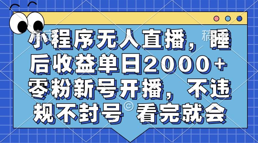 （13251期）小程序无人直播，睡后收益单日2000+ 零粉新号开播，不违规不封号 看完就会-智创网