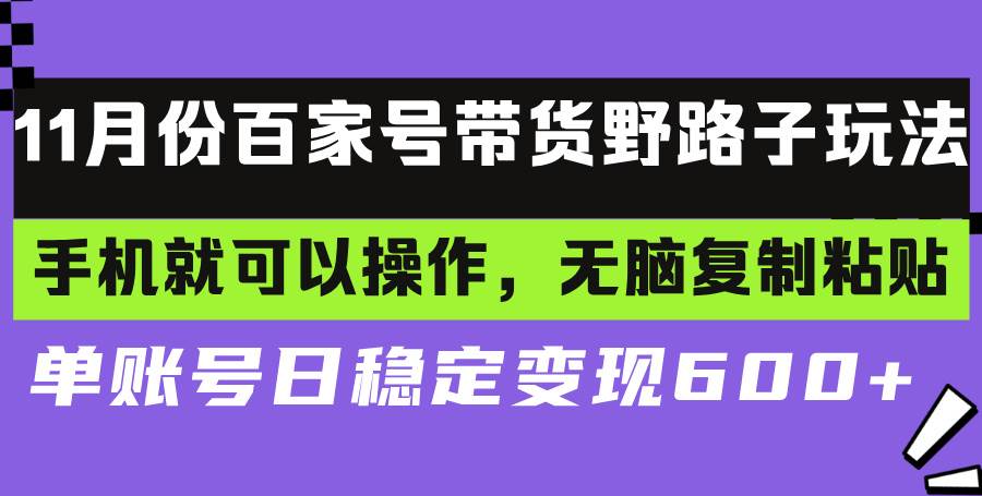 （13281期）百家号带货野路子玩法 手机就可以操作，无脑复制粘贴 单账号日稳定变现…-智创网