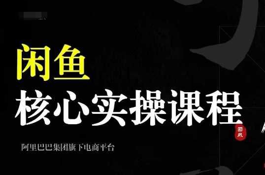 2024闲鱼核心实操课程，从养号、选品、发布、销售，教你做一个出单的闲鱼号-智创网