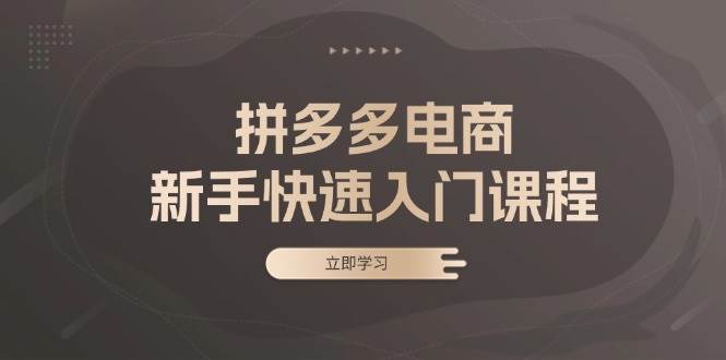 （13289期）拼多多电商新手快速入门课程：涵盖基础、实战与选款，助力小白轻松上手-智创网