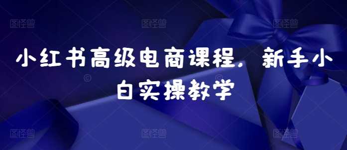 小红书高级电商课程，新手小白实操教学-智创网