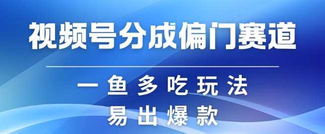 视频号创作者分成计划偏门类目，容易爆流，实拍内容简单易做【揭秘】-智创网