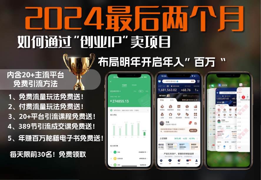 （13322期）2024最后两个月如何通过”创业IP“卖项目年入”百万“,创业IP+最强引流…-智创网