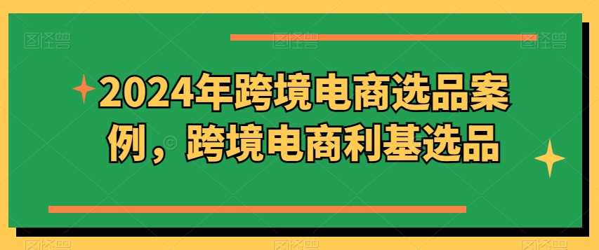2024年跨境电商选品案例，跨境电商利基选品（更新11月）-智创网