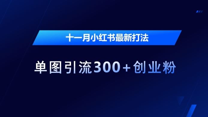 十一月小红书最新打法，单图引流300+创业粉【揭秘】-智创网