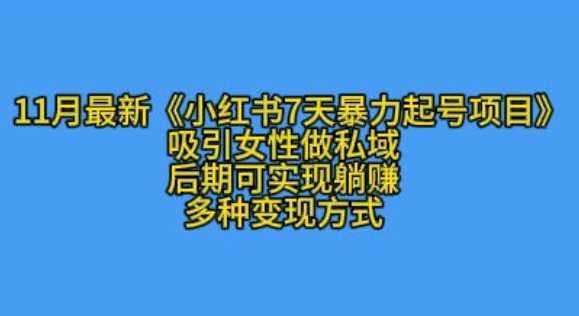 K总部落11月最新小红书7天暴力起号项目，吸引女性做私域【揭秘】-智创网