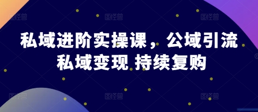 私域进阶实操课，公域引流 私域变现 持续复购-智创网