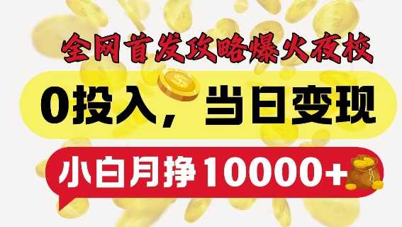 全网首发爆火夜校，0投入，当日变现，小白轻松月入1w+【揭秘】-智创网