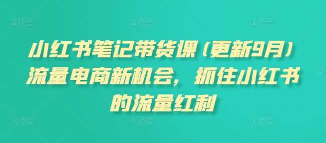 小红书笔记带货课(更新11月)流量电商新机会，抓住小红书的流量红利-智创网