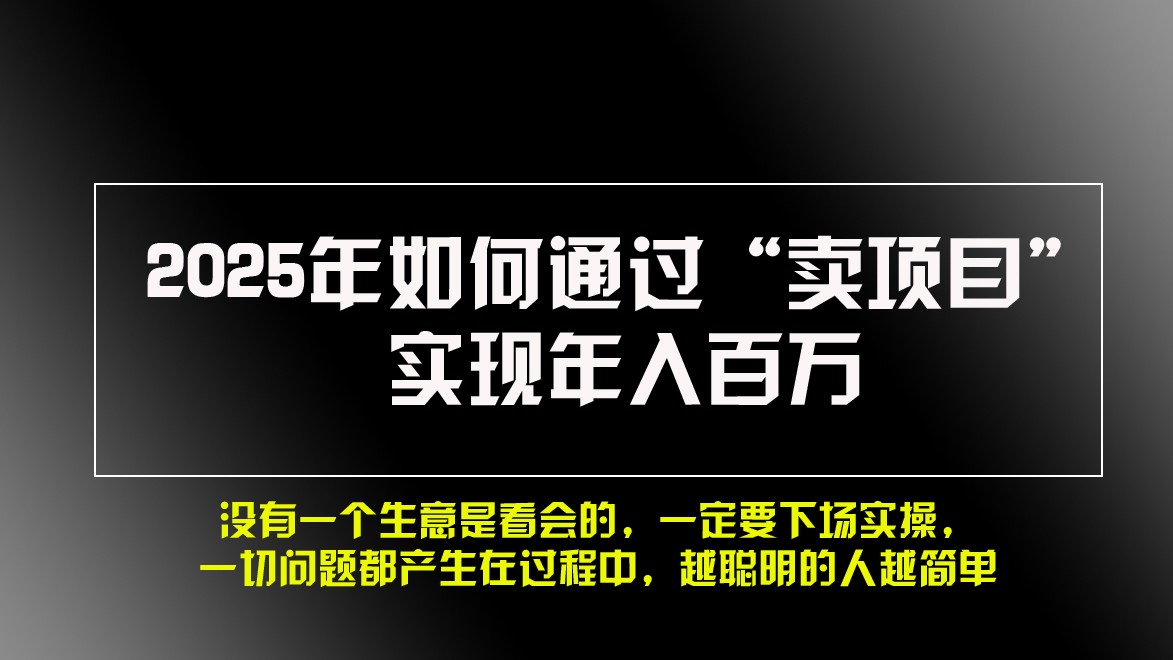 2025年如何通过“卖项目”实现年入百万-智创网