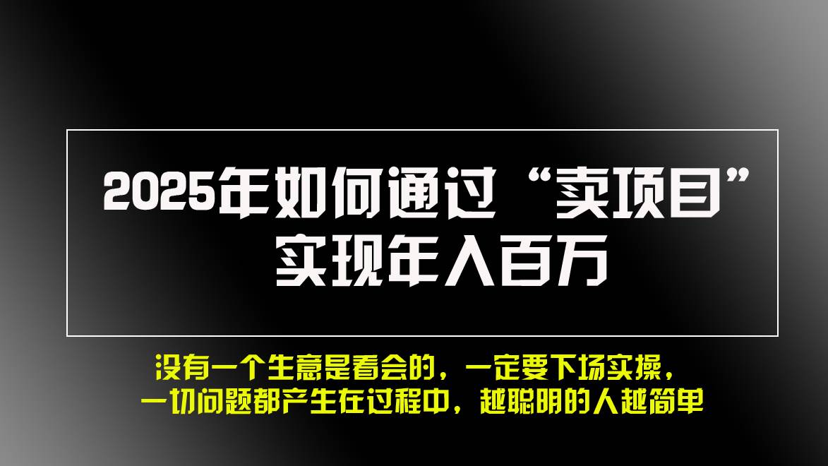 （13468期）2025年如何通过“卖项目”实现年入百万，做网赚必看！！-智创网