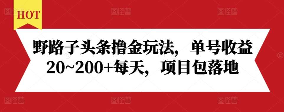 野路子头条撸金玩法，单号收益20~200+每天，项目包落地-智创网