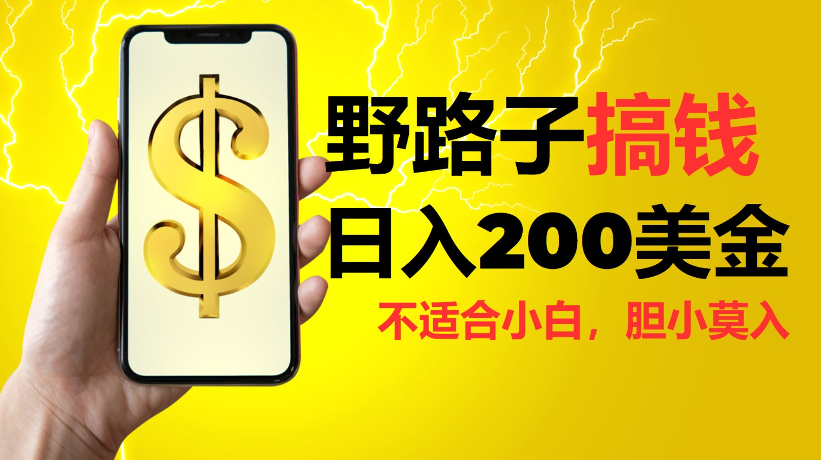 挂机野路子搞钱，日入200美金，路子很野，小白莫入-智创网