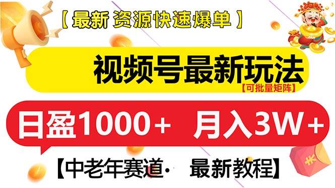 （13530期）视频号最新玩法 中老年赛道 月入3W+-智创网