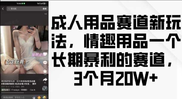 成人用品赛道新玩法，情趣用品一个长期暴利的赛道，3个月收益20个【揭秘】-智创网