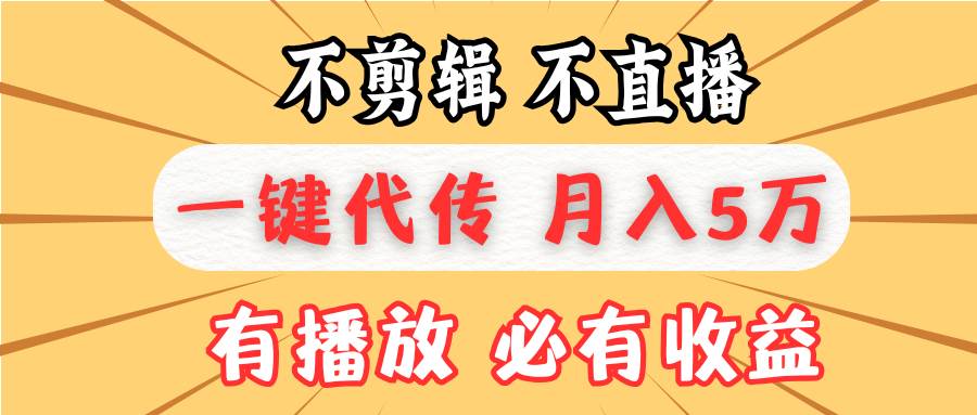 （13555期）不剪辑不直播，一键代发，月入5万懒人必备，我出视频你来发-智创网