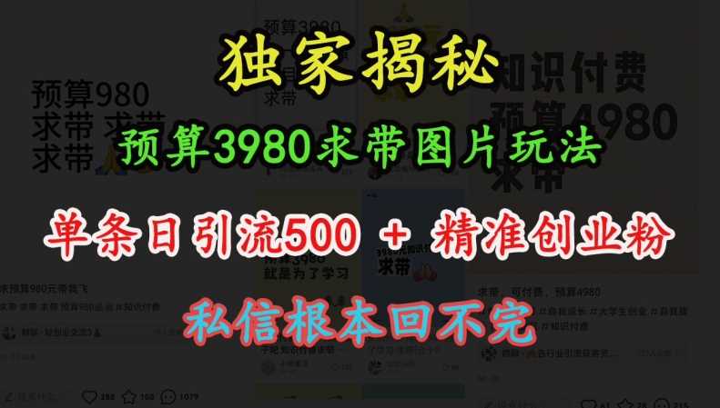 预算3980求带 图片玩法，单条日引流500+精准创业粉，私信根本回不完-智创网