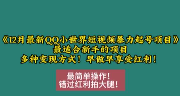 12月最新QQ小世界短视频暴力起号项目，最适合新手的项目，多种变现方式-智创网