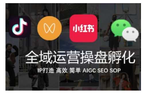 全域运营操盘(抖音+私域+小红书)，IP打造高效简单-智创网