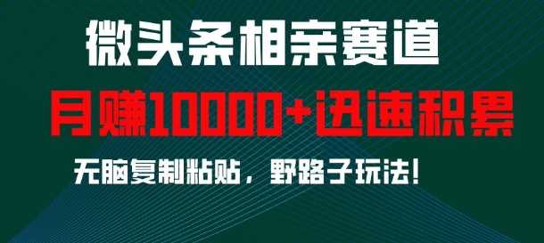 微头条相亲赛道，迅速积累，无脑复制粘贴，野路子玩法，月入1w-智创网