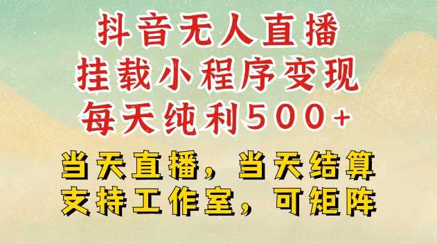 抖音无人直播挂载小程序变现每天纯利500+当天直播，当天结算支持工作室，可矩阵【揭秘】-智创网